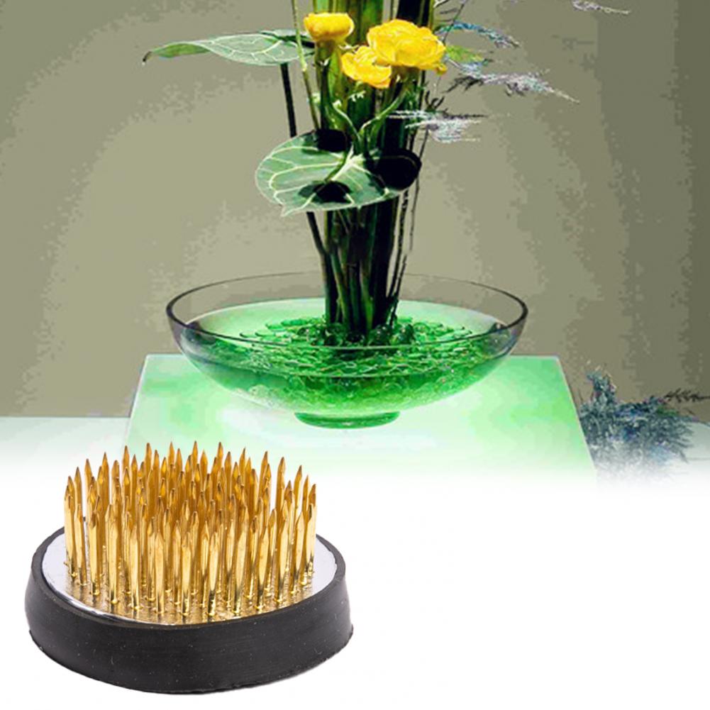 Pemegang kodok bunga portabel, - Flower Frog Pin ulasan dan harga