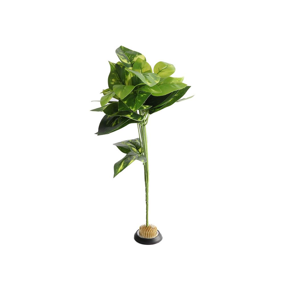 Penyangga Bunga Kenzan Berduri - Flower Frog Pin ulasan dan harga