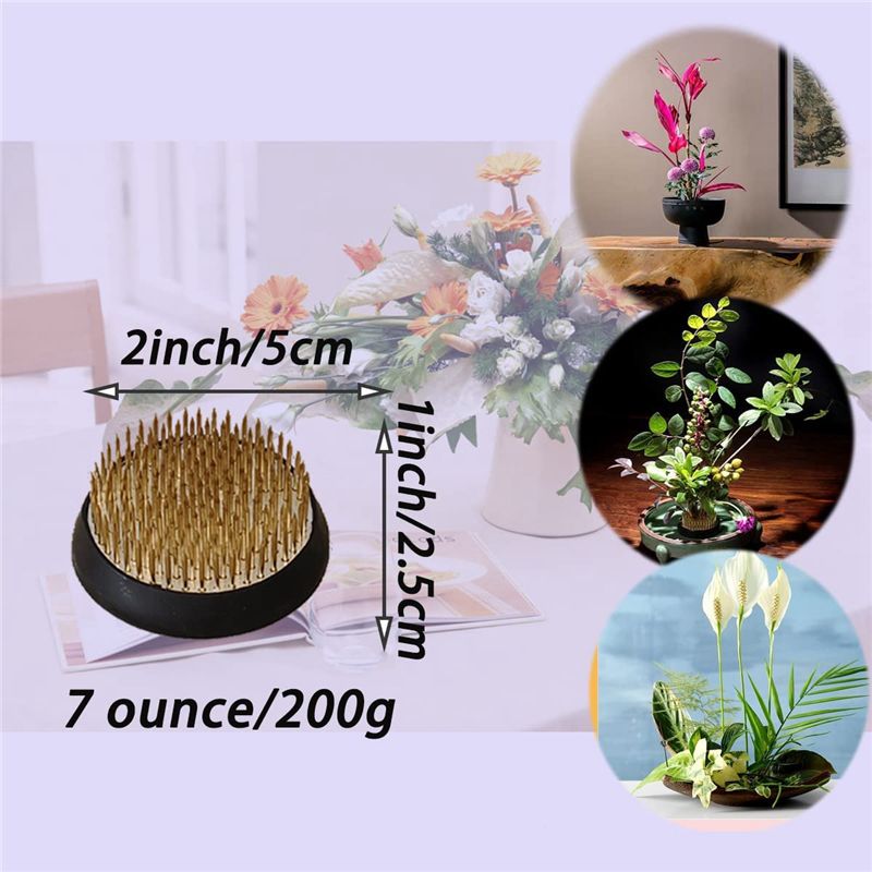 【Obral】3Pcs Penyangga Bunga, K - Flower Frog Pin ulasan dan harga